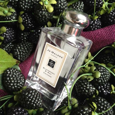 Perfumes Similar To Blackberry And Bay – Sage Datum